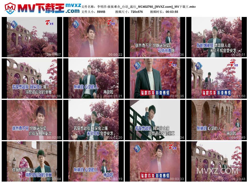李明洋-依依难舍_台语_流行_MC402760